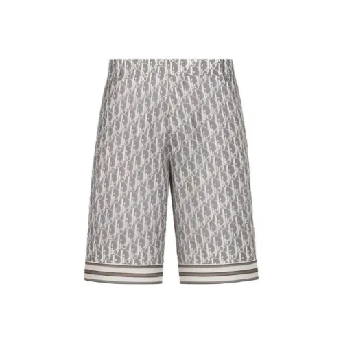 DIOR FW23 Повседневные шорты Мужские Серые