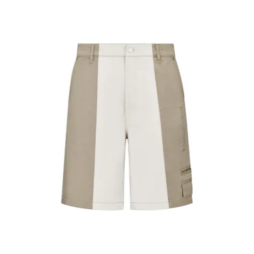 DIOR SS24 Повседневные шорты Мужские Бежевые