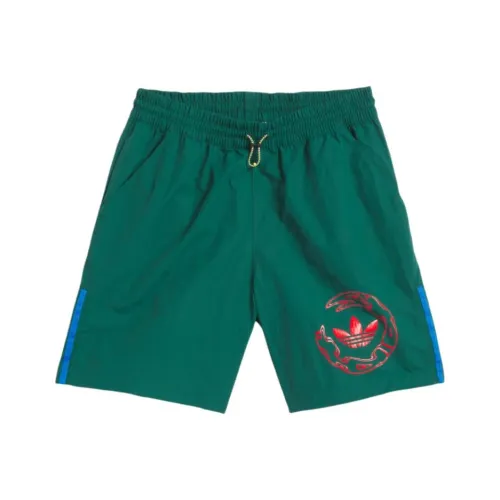 Adidas Originals SKATEBOARDING Графические Повседневные Шорты Унисекс Зеленый