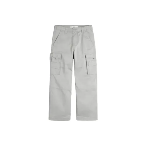 Hollister Карго Брюки Мужские Светло-Серые