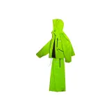 Зеленый яблочный