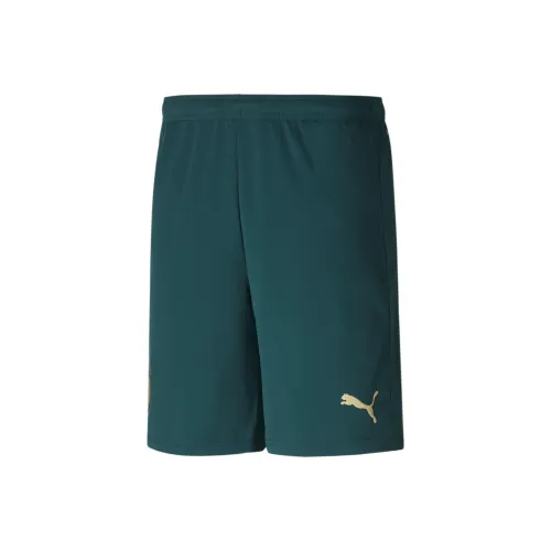 PUMA FIGC RENAISSANCE Футбол Низ Мужской Зеленый