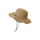 Верблюжий цвет