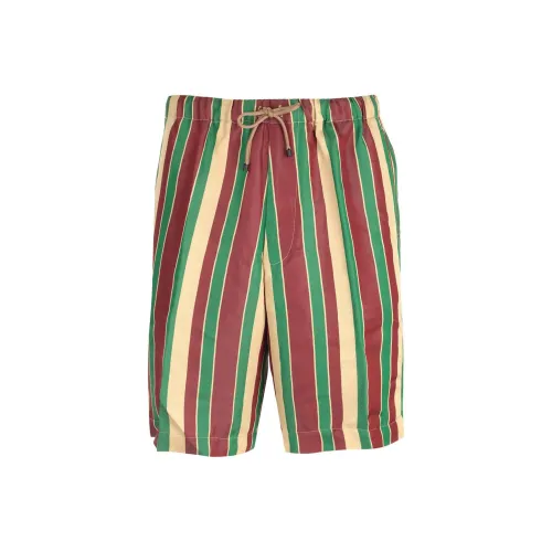 DRIES VAN NOTEN Многоцветные Мужские Повседневные Шорты