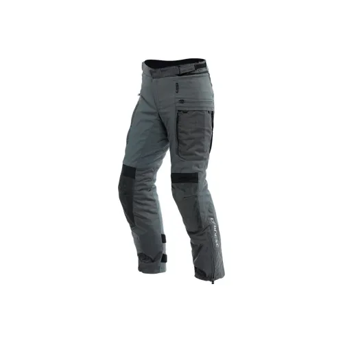 DAINESE SPRINGBOK Велошорты и Велошорты Мужские Асфальтовый Серый