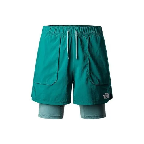 The North Face Повседневные шорты Мужские Зеленые
