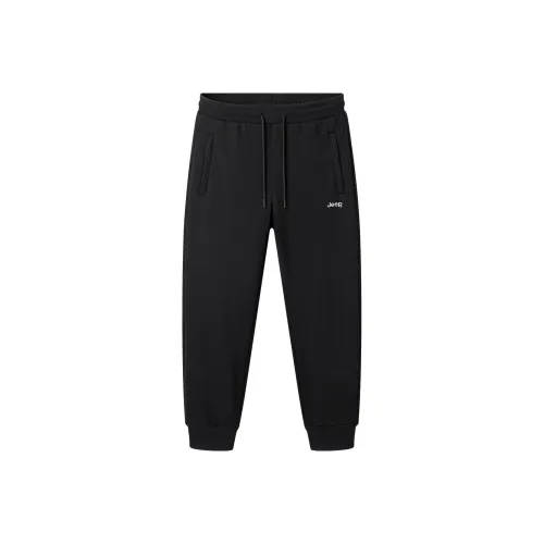 Jeep Luxury Wrangler Collection Повседневные брюки Унисекс Черный