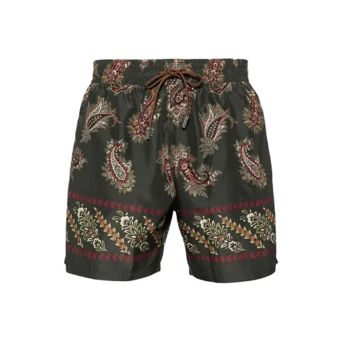 ETRO Зеленые Мужские Повседневные Шорты