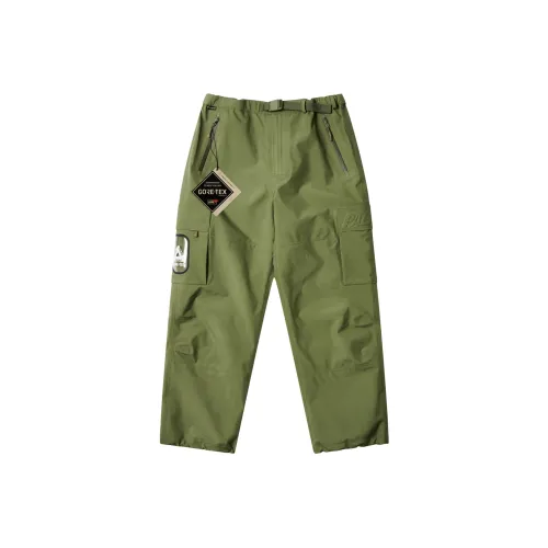 Дворцовый FW24 Темно-зеленый Унисекс Повседневные брюки