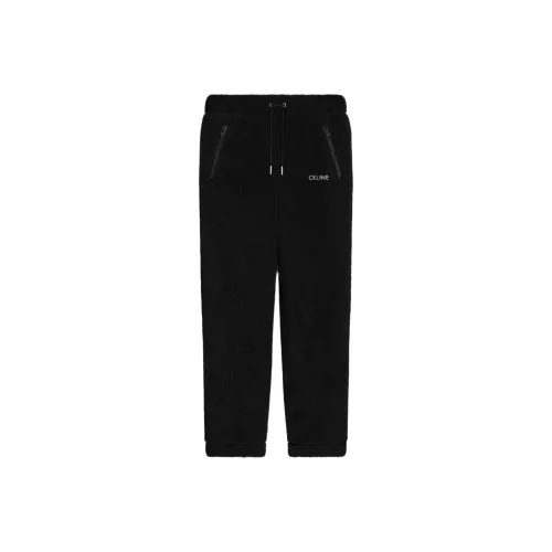 CELINE SS25 Повседневные брюки Мужской Черный