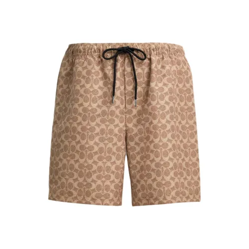 COACH Light Brown Мужские Пляжные Шорты