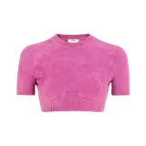 Светло-фиолетовый