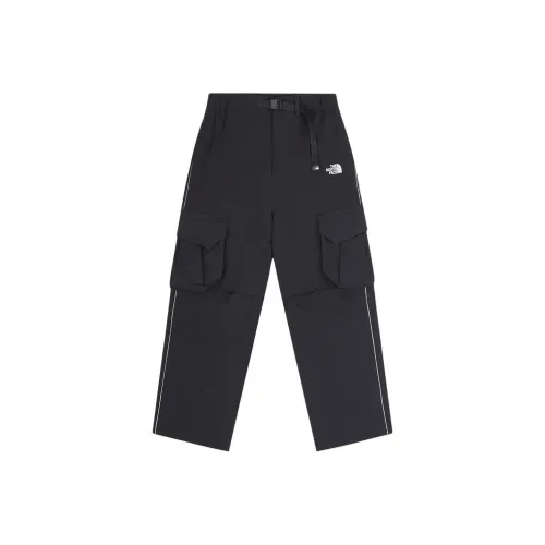 THE NORTH FACE Повседневные брюки Мужские Космос Черный