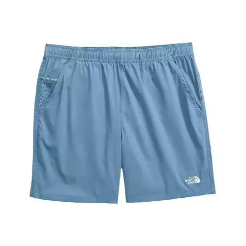 The North Face Стальной синий Мужские спортивные шорты