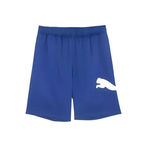 PUMA ESS+ Плетеные шорты 9' M Повседневные шорты Мужской Electronic Синий