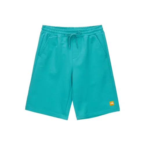 The North Face Бирюзовый Мужские спортивные шорты