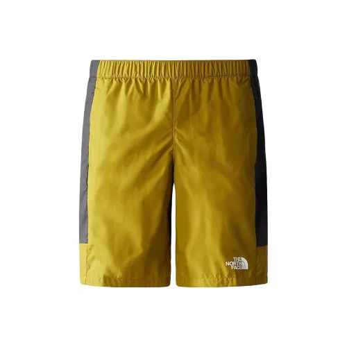 The North Face Сера Лесной мшистый Мужские спортивные шорты