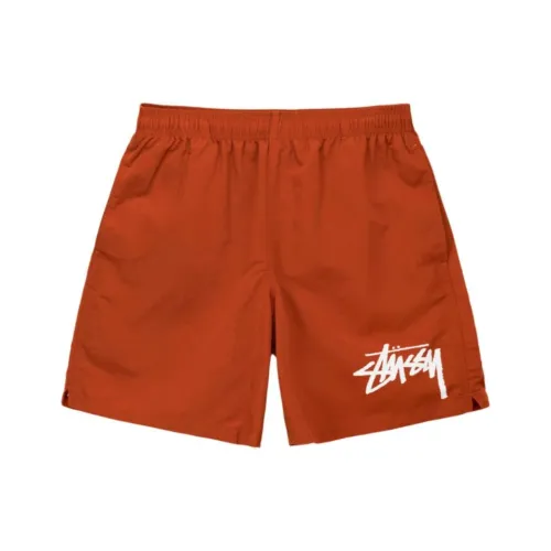 Stussy Унисекс Повседневные Шорты