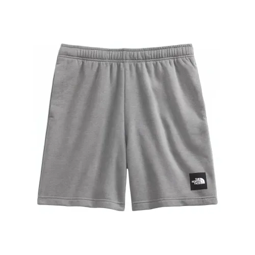 THE NORTH FACE Мужские NEVER STOP Шорты Повседневные шорты Мужские Серые