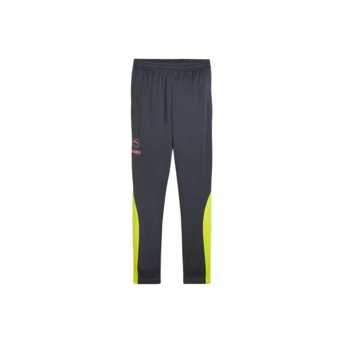 PUMA Серые Мужские Спортивные Брюки