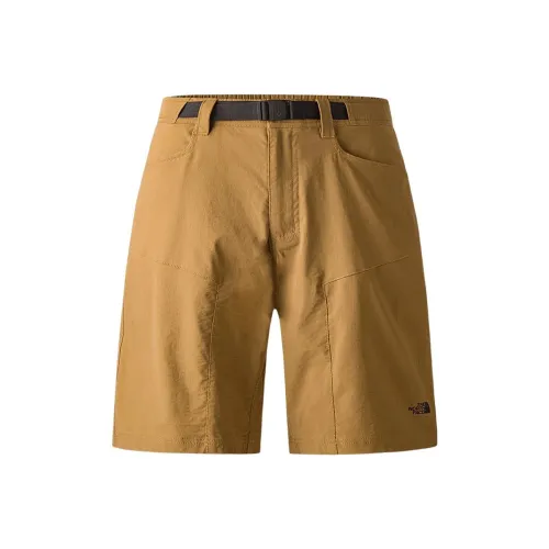 THE NORTH FACE Коричневый Мужские спортивные шорты