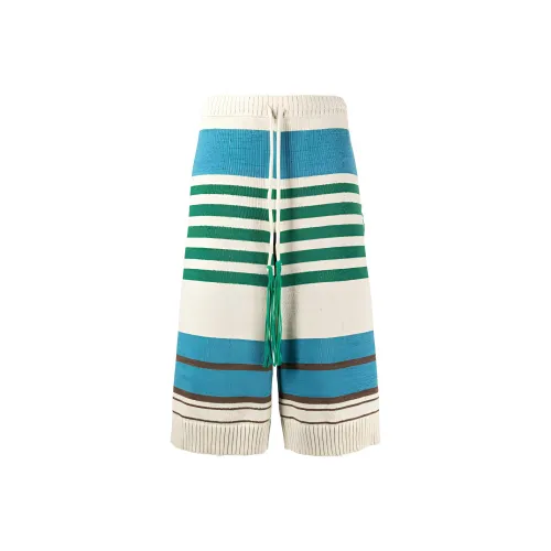 CRAIG GREEN SS24 Повседневные шорты Мужские Синие