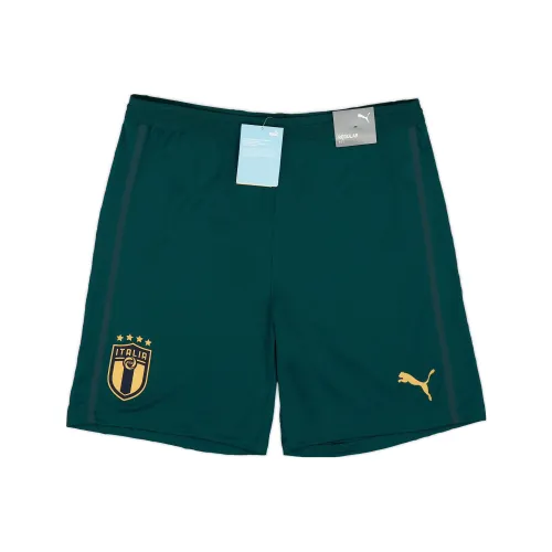 PUMA Зеленые Мужские Футбольные Штаны