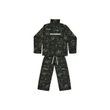 Зелёный кленовый лист