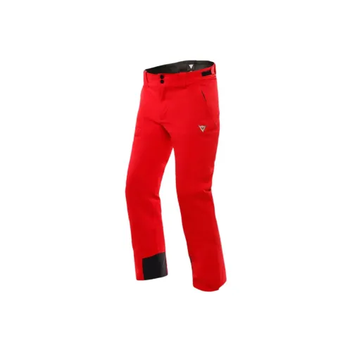 DAINESE Мужские лыжные брюки