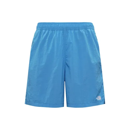 The North Face Синий Мужские спортивные шорты