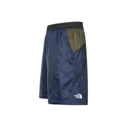 The North Face Синий Мужские спортивные шорты