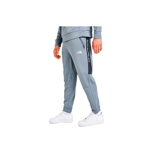 The North Face Серые Мужские Спортивные Брюки