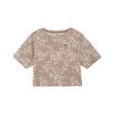 Лесной мшистый