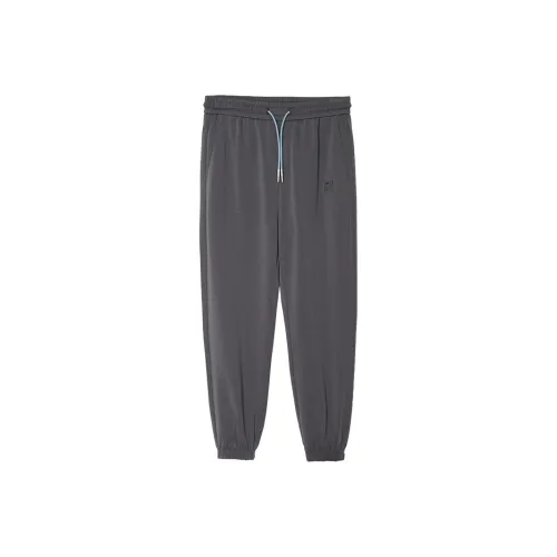 MOST Серый Мужские Повседневные Штаны