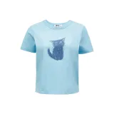 C43 Далекий Небесный