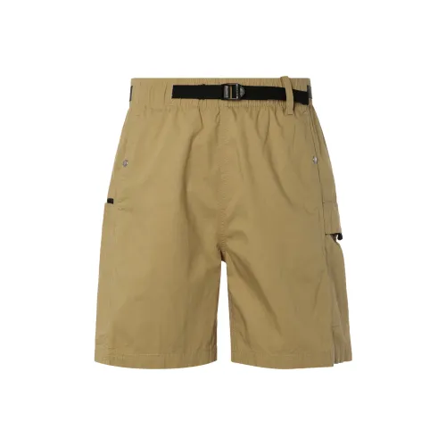 THE NORTH FACE RIPSTOP Cargo Easy Шорты Повседневные шорты Мужские Антилопа Коричневый