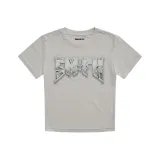 Пыльно-серый