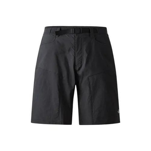 The North Face Серые Мужские Спортивные Шорты