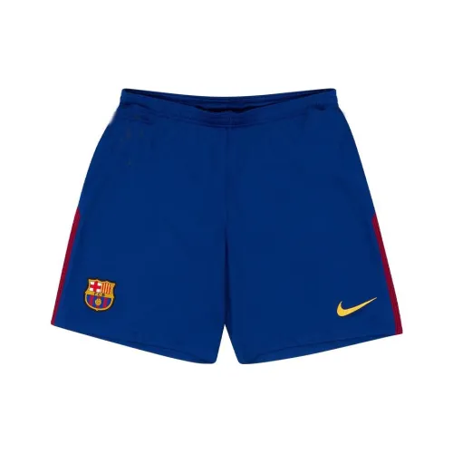 Nike Blue Мужские спортивные шорты