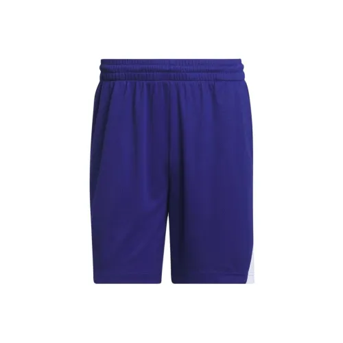 Adidas Баскетбол BADGE OF SPORT Шорты Спортивные шорты Мужской Фиолетовый
