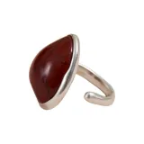 Серебряный + Красное дерево + Окаменелость