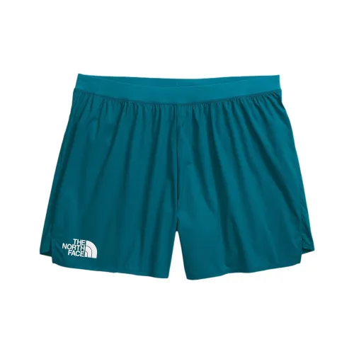 The North Face Sapphire Blue Мужские спортивные шорты