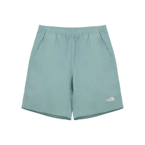 The North Face Повседневные шорты Мужские Светло-зеленые