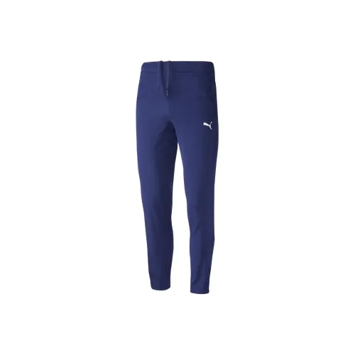 PUMA Essentials Woven Pants Спортивные брюки Мужские Синие