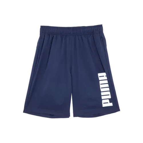 Puma ESS Мужские Повседневные Шорты