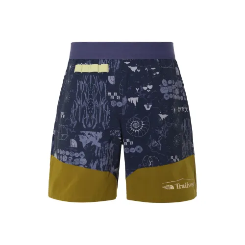 The North Face Многоцветные Мужские Спортивные Шорты