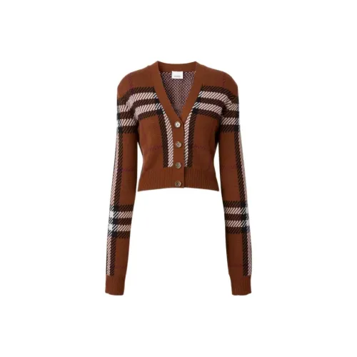 Burberry FW22 Трикотаж Женский Березовый Коричневый