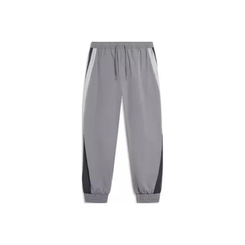 Лайнер Sports Trend Series Повседневные Штаны Мужские Smoke Ink Серый