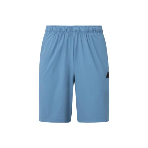 Adidas Измененный синий Мужские спортивные шорты