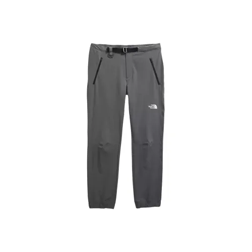 The North Face Дымчатый Жемчужный Мужские Спортивные Брюки